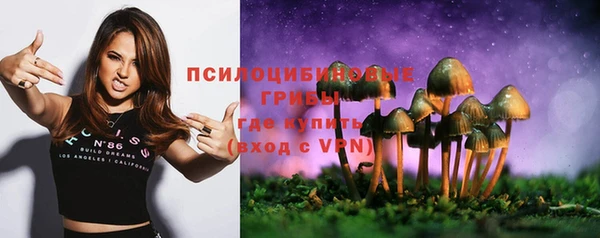 альфа пвп Нефтегорск