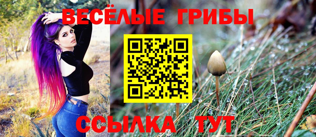 Галлюциногенные грибы GOLDEN TEACHER  Вход с VPN  Тобольск 