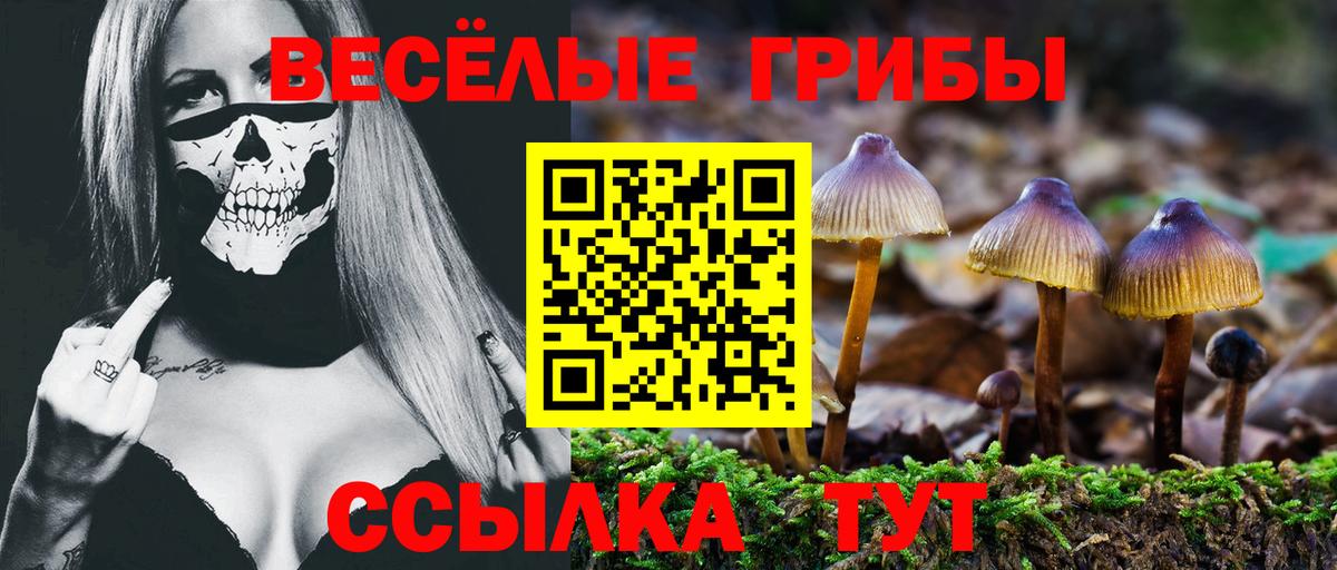 Галлюциногенные грибы Psilocybine cubensis Тобольск