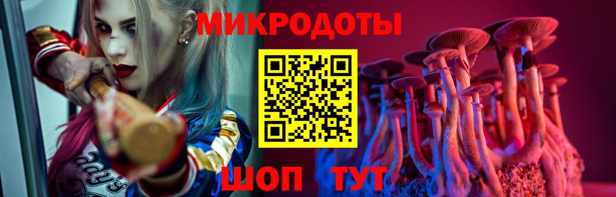 Псилоцибиновые грибы прущие грибы Тобольск