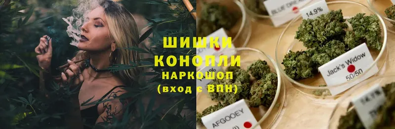 Бошки Шишки THC 21%  кракен как войти  даркнет состав  купить  сайты  Тобольск 